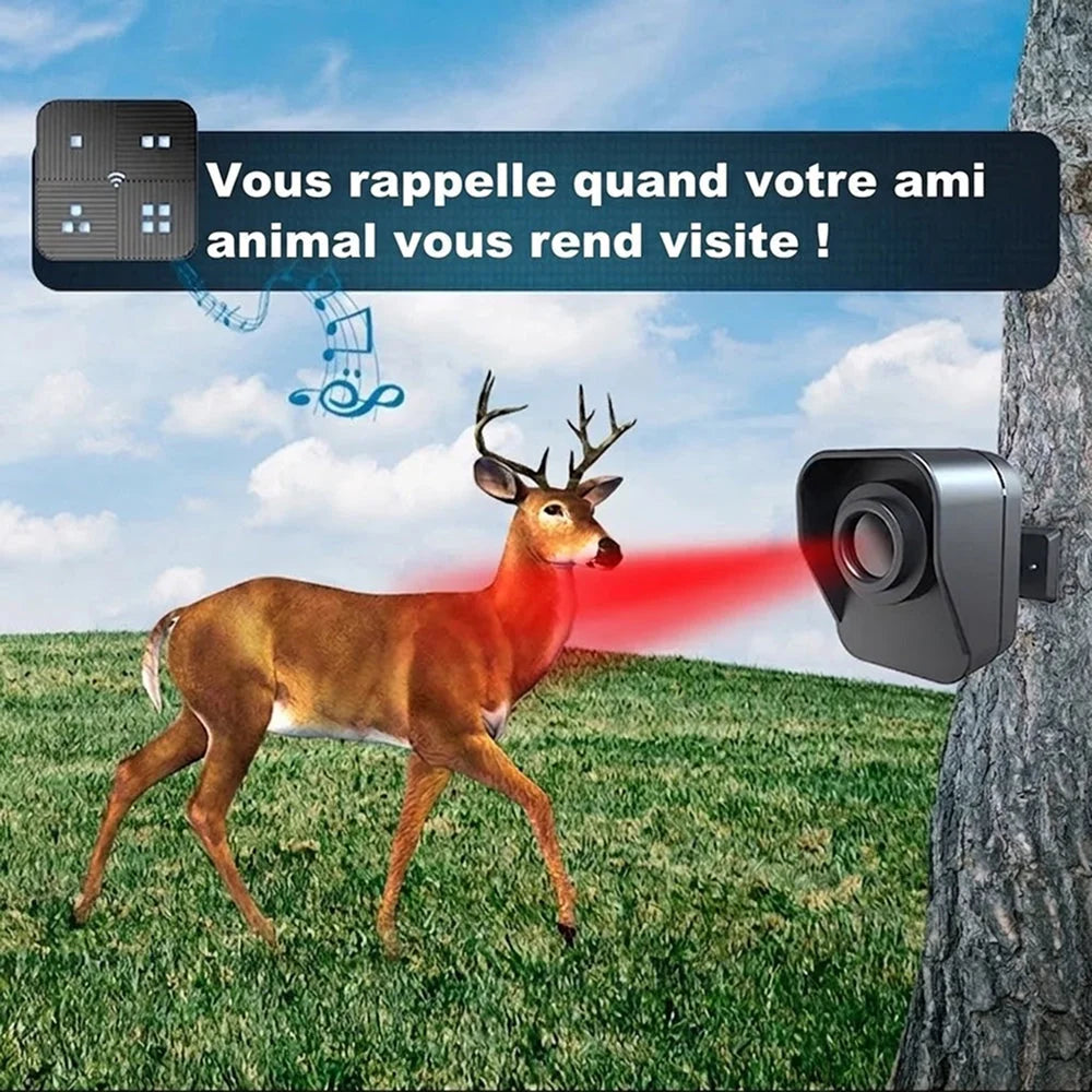 AquaSecur - Alarme Piscine