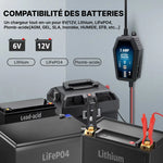 BattRevive - Chargeur Batterie Intelligent