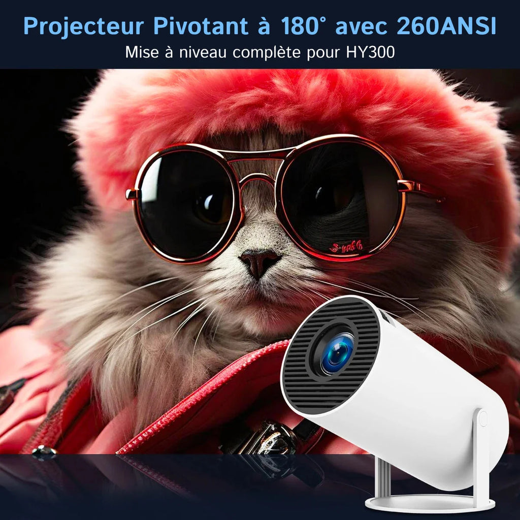 CineFlexi - Projecteur Portable