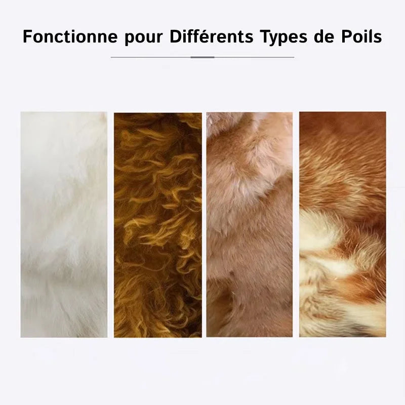 ShearPooch - Tondeuse Animaux