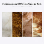 ShearPooch - Tondeuse Animaux