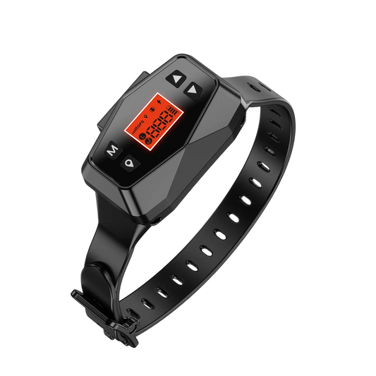 PawTracki - Collier Gps Chien