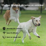 PawTracki - Collier Gps Chien