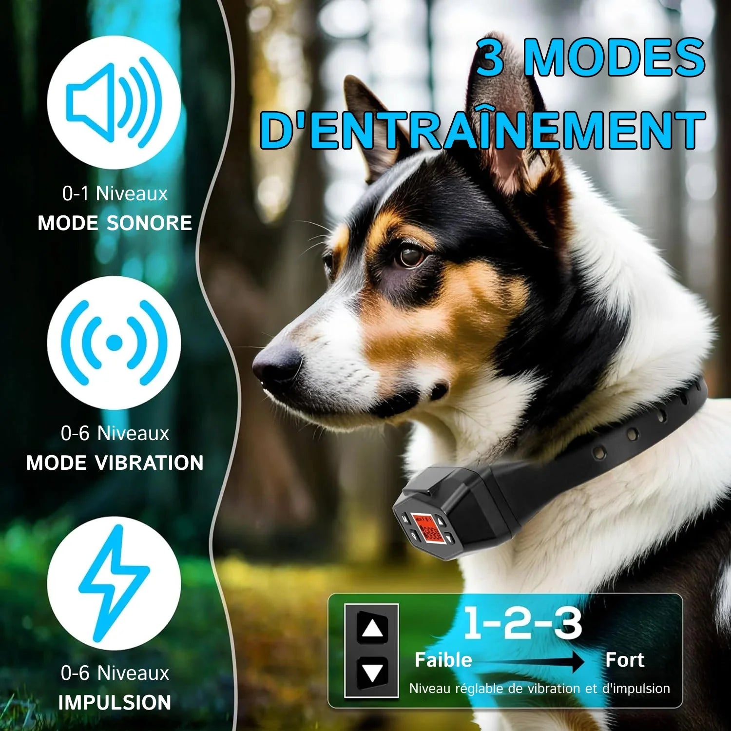 PawTracki - Collier Gps Chien