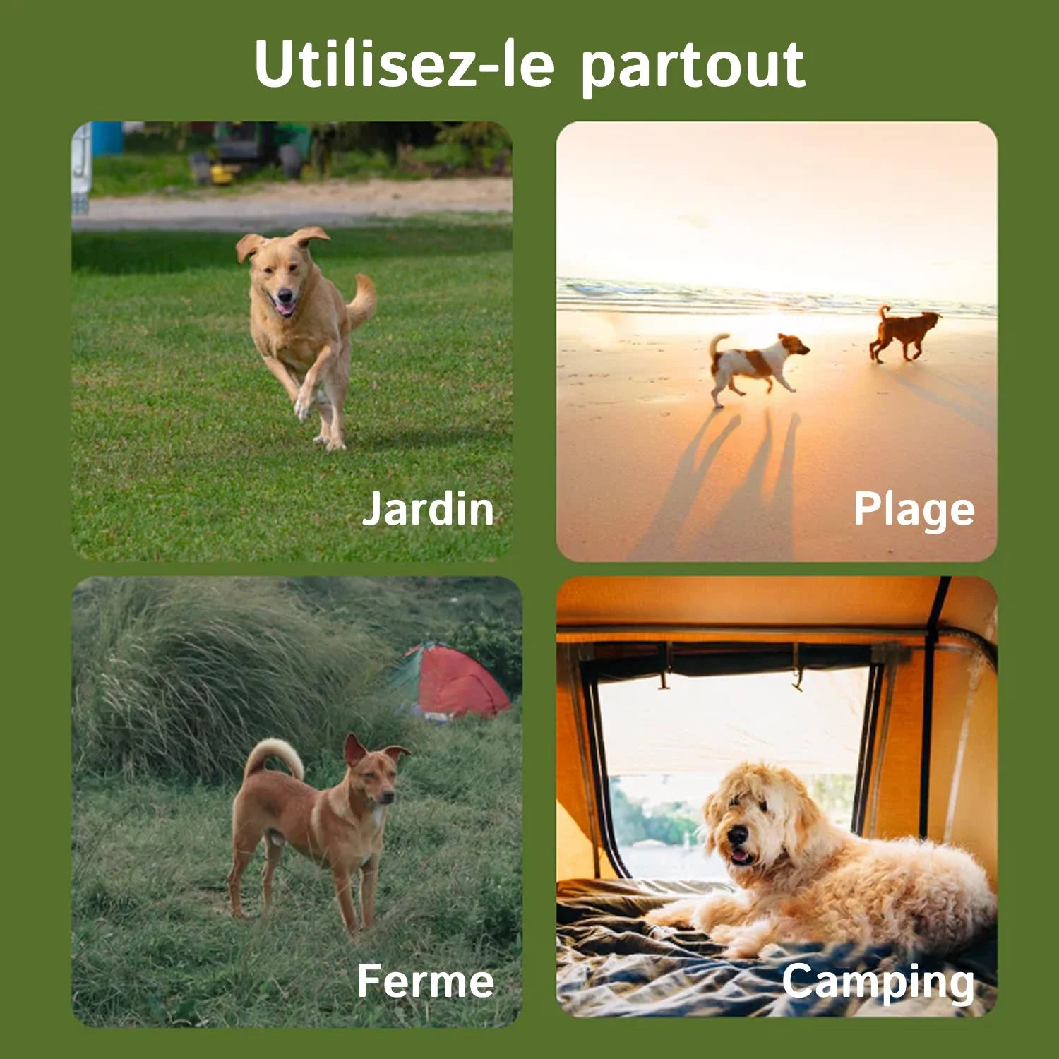 PawTracki - Collier Gps Chien