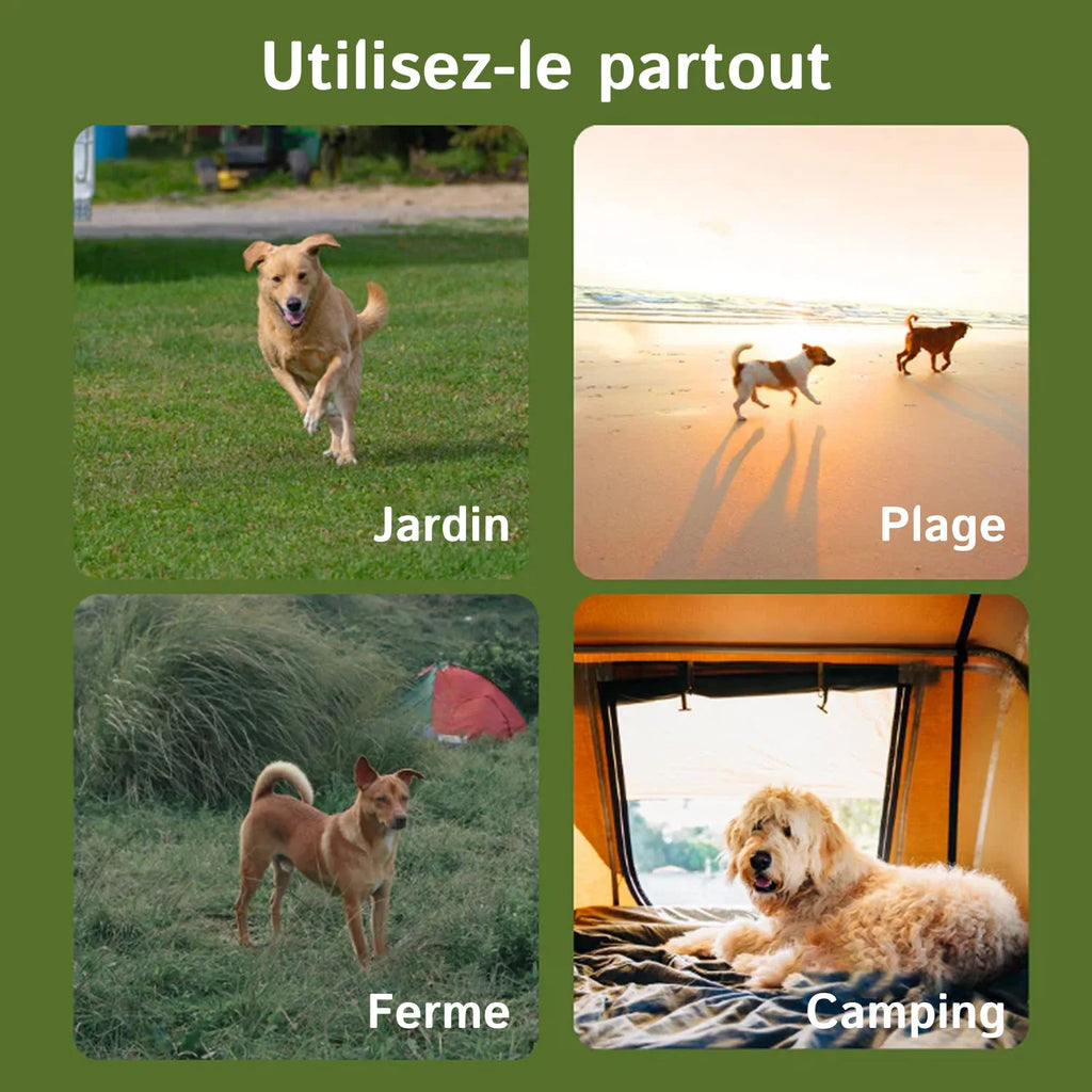 PawTracki - Collier Gps Chien