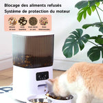 FeliMunch - Distributeur Automatique Chat