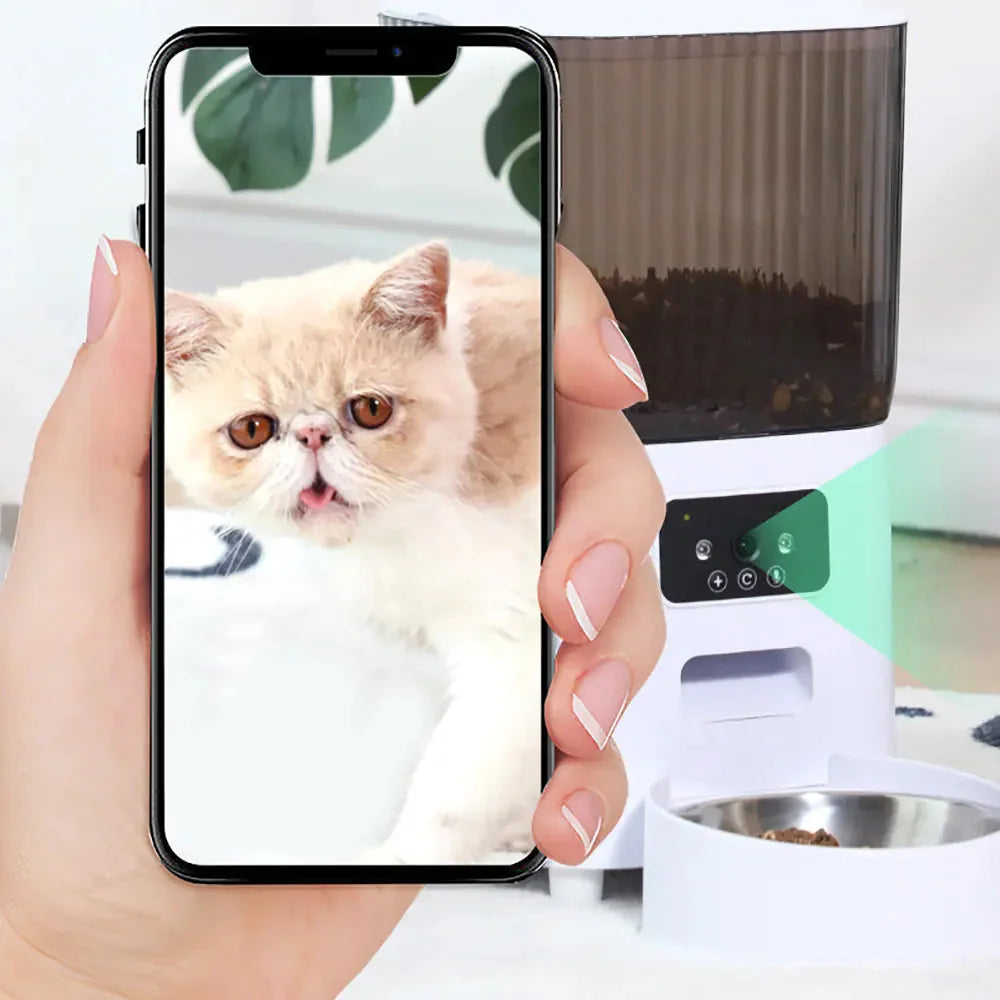 FeliMunch - Distributeur Automatique Chat