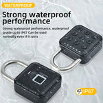 LockBiomix - Cadenas Intelligent
