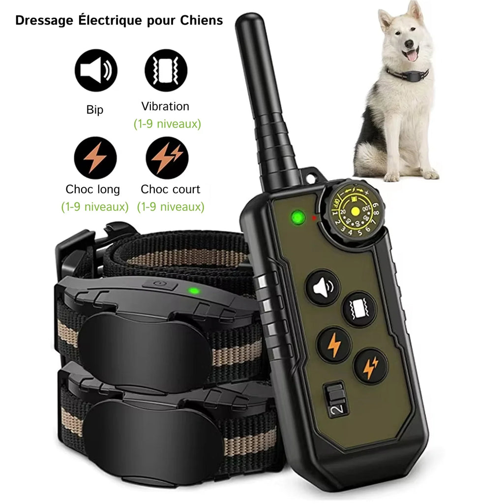 PetTrainex - Collier De Dressage Chien