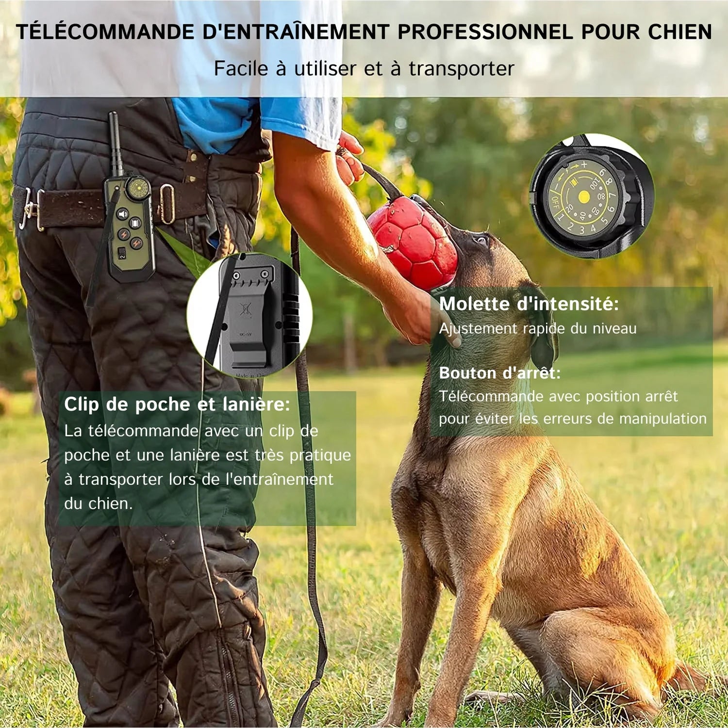 PetTrainex - Collier De Dressage Chien