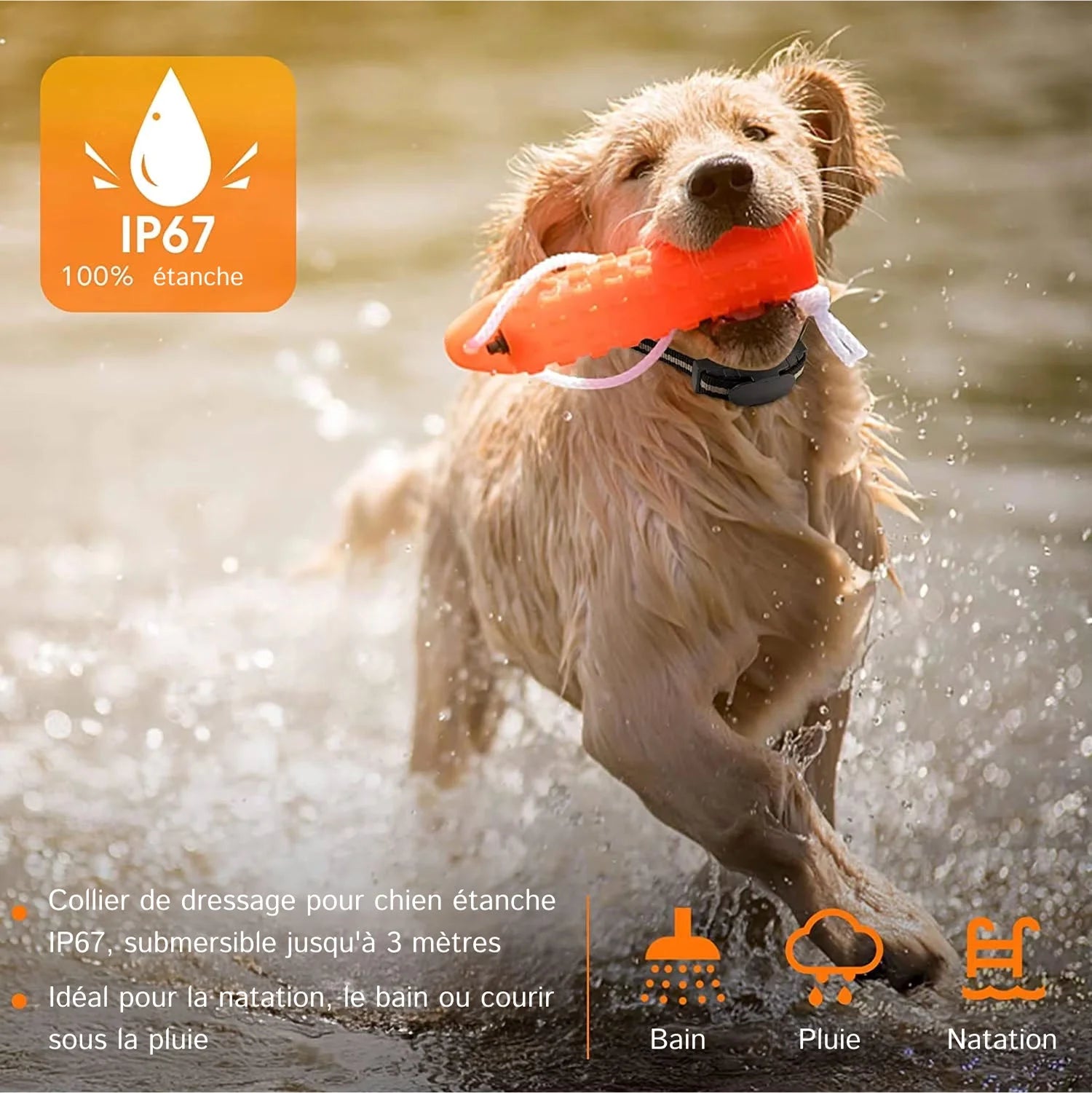 PetTrainex - Collier De Dressage Chien