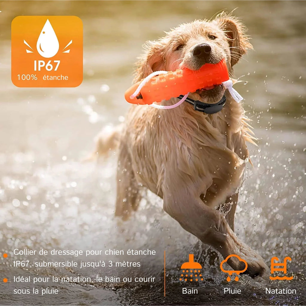 PetTrainex - Collier De Dressage Chien