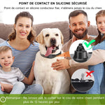 PetTrainex - Collier De Dressage Chien