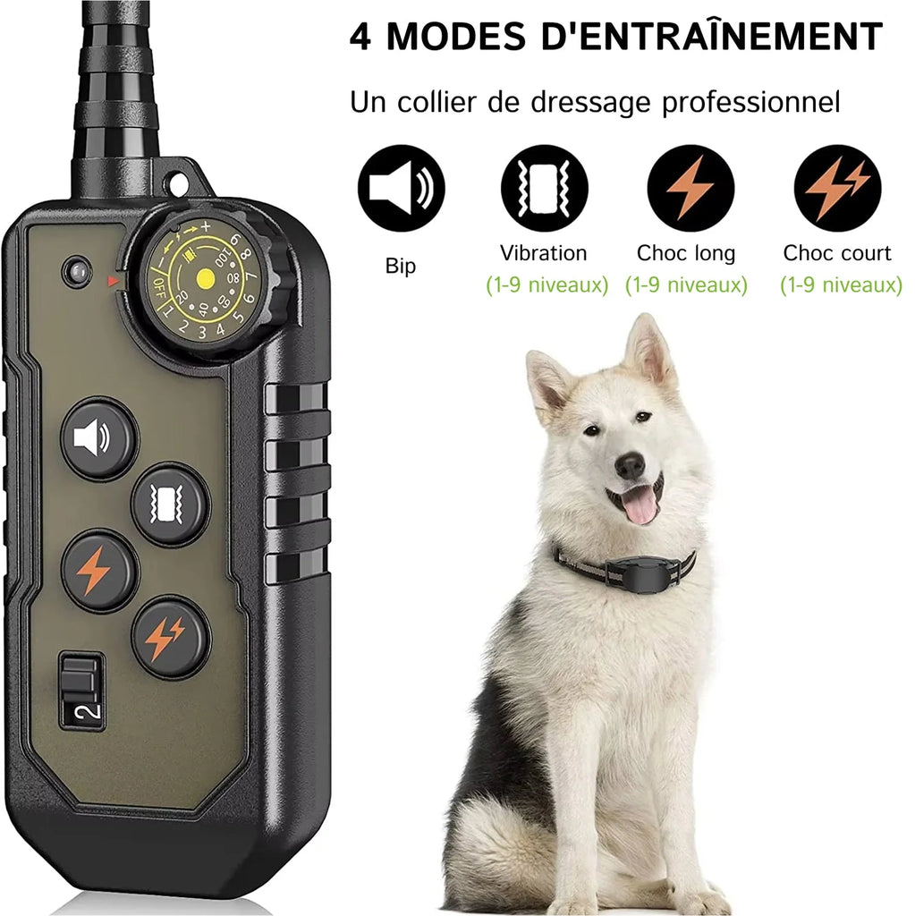 PetTrainex - Collier De Dressage Chien