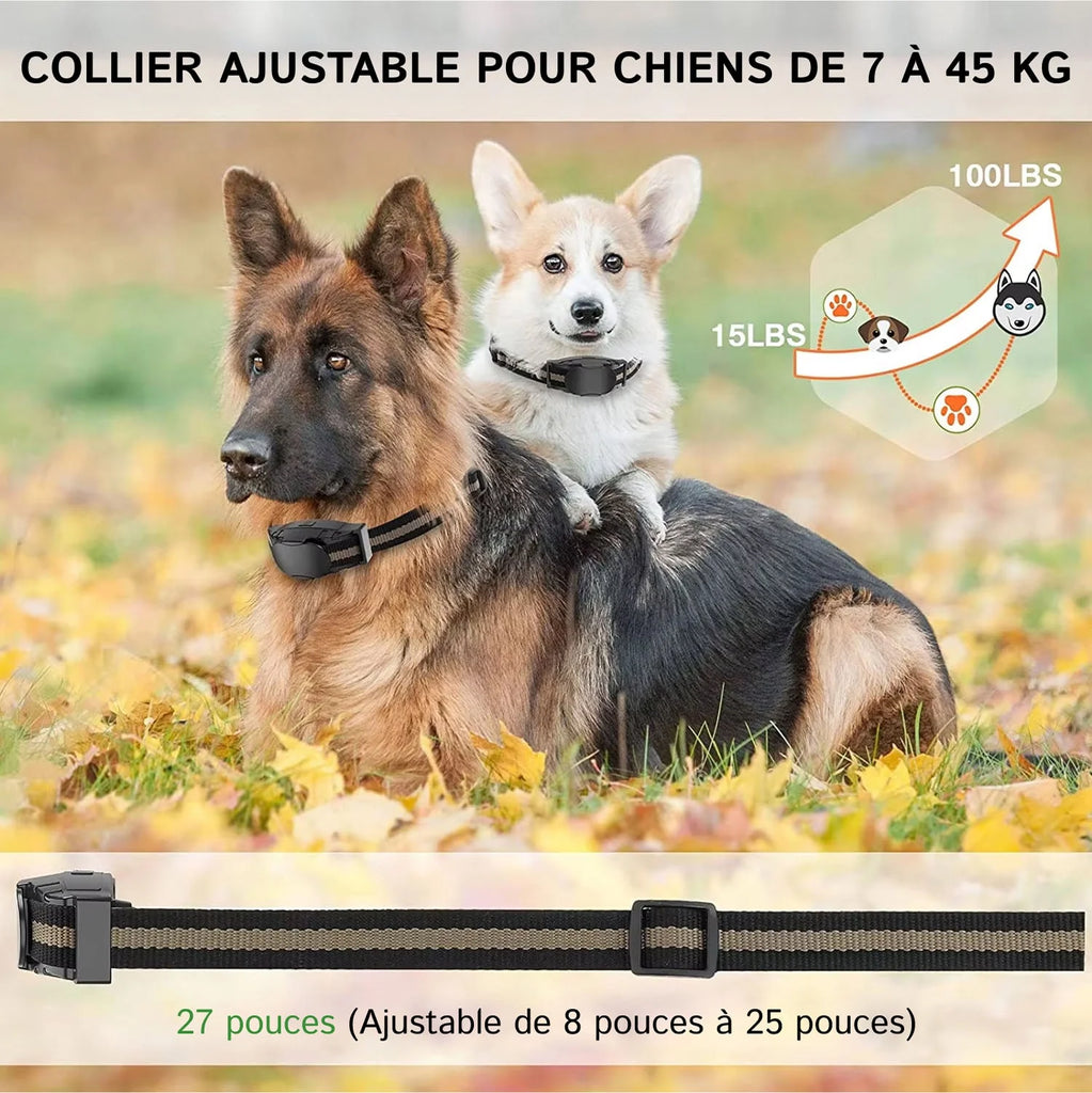 PetTrainex - Collier De Dressage Chien