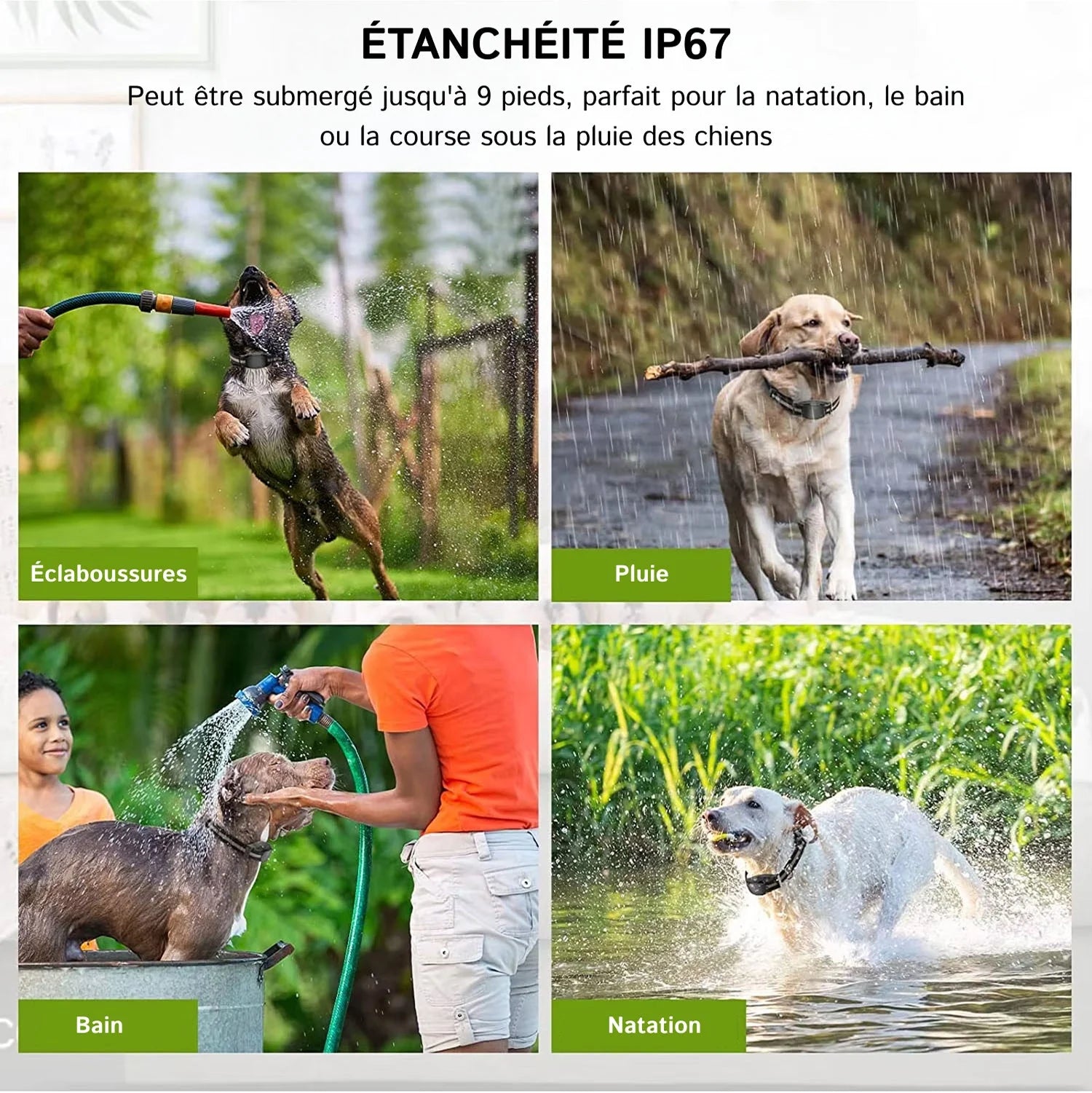 PetTrainex - Collier De Dressage Chien