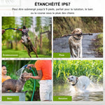 PetTrainex - Collier De Dressage Chien