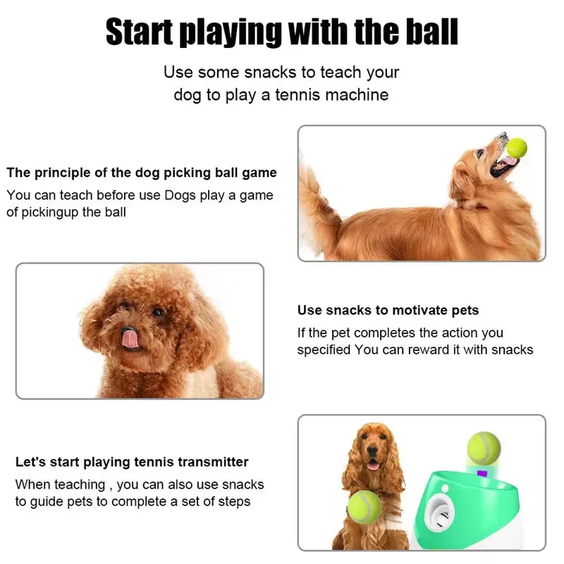 FetchiBall - Lanceur De Balle Chien