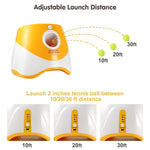 FetchiBall - Lanceur De Balle Chien