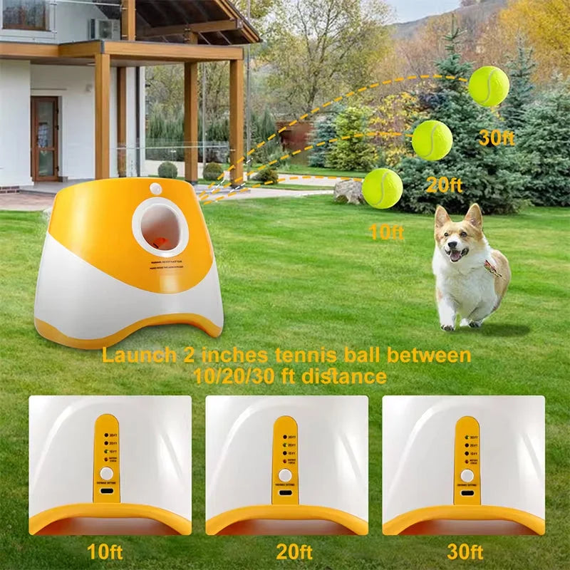 FetchiBall - Lanceur De Balle Chien