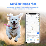 PupLocate - Collier Gps Chien