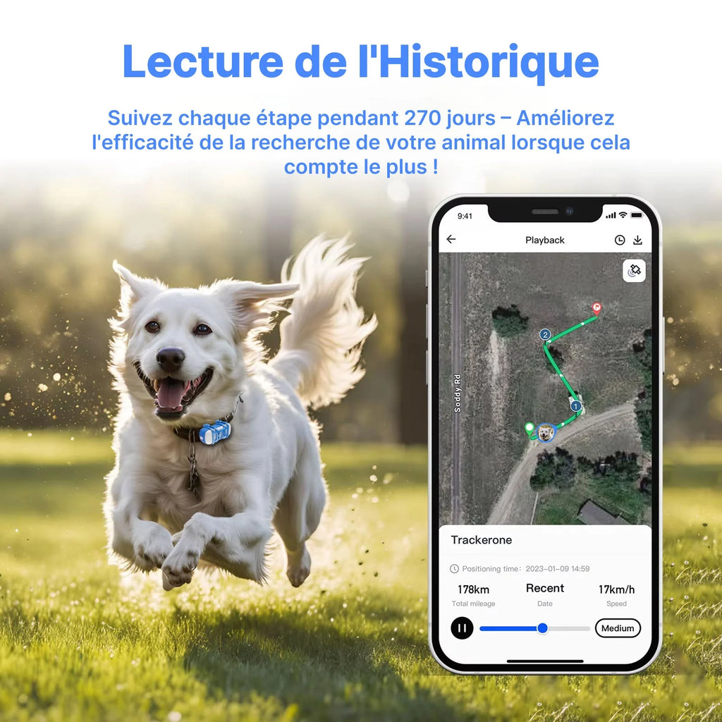 PupLocate - Collier Gps Chien