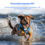 PupLocate - Collier Gps Chien