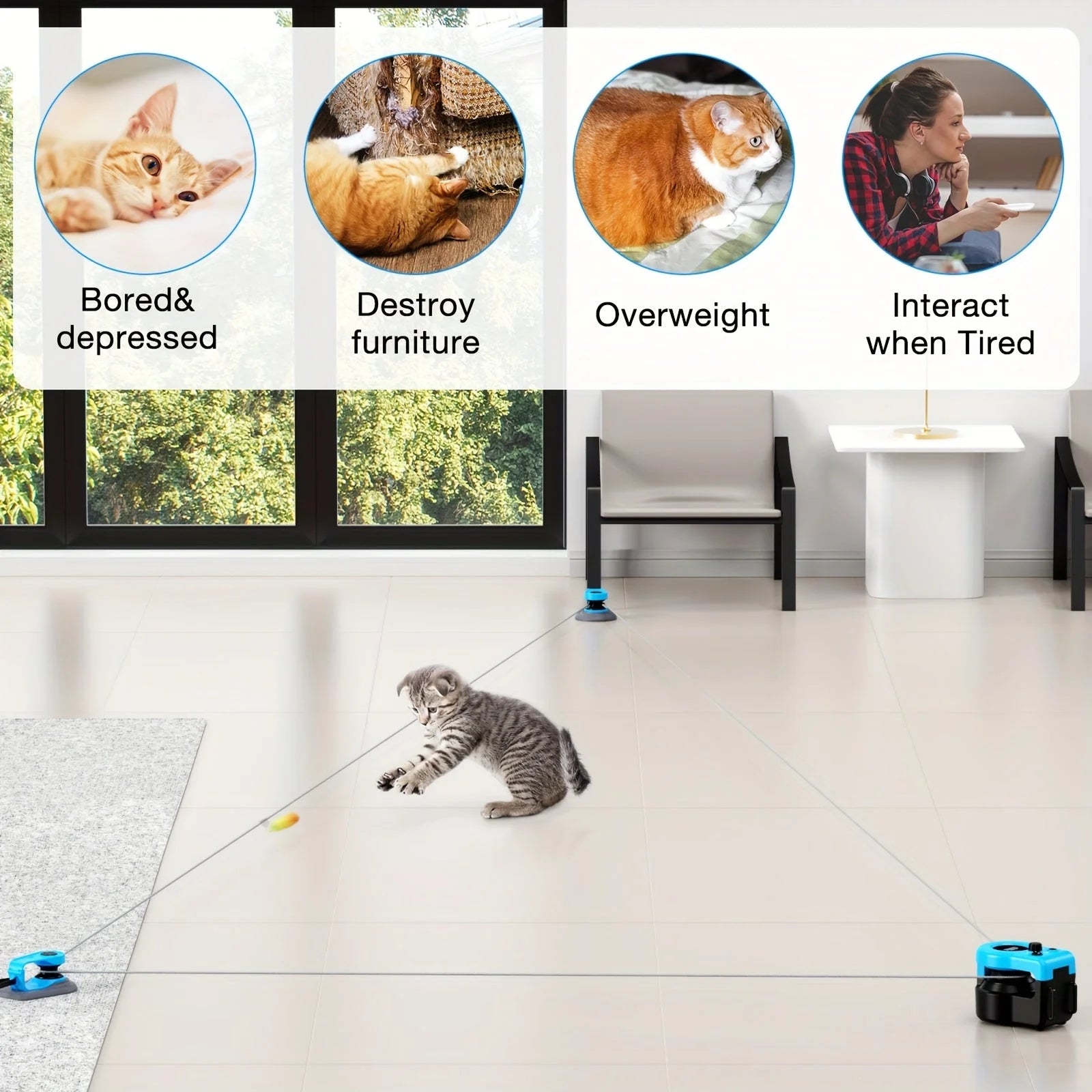 PurrChasix - Jouet Interactif Chat