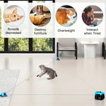PurrChasix - Jouet Interactif Chat