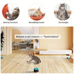 PurrChasix - Jouet Interactif Chat