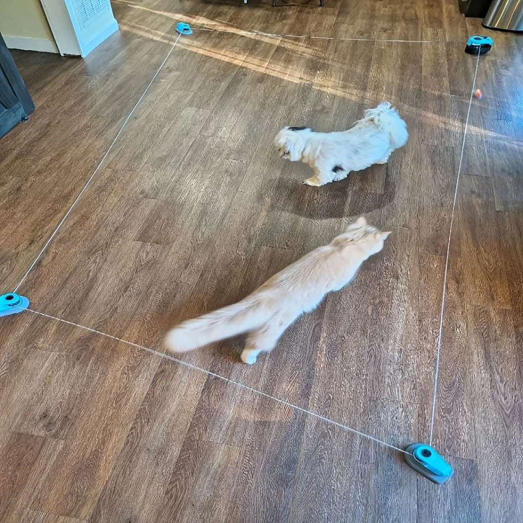 PurrChasix - Jouet Interactif Chat
