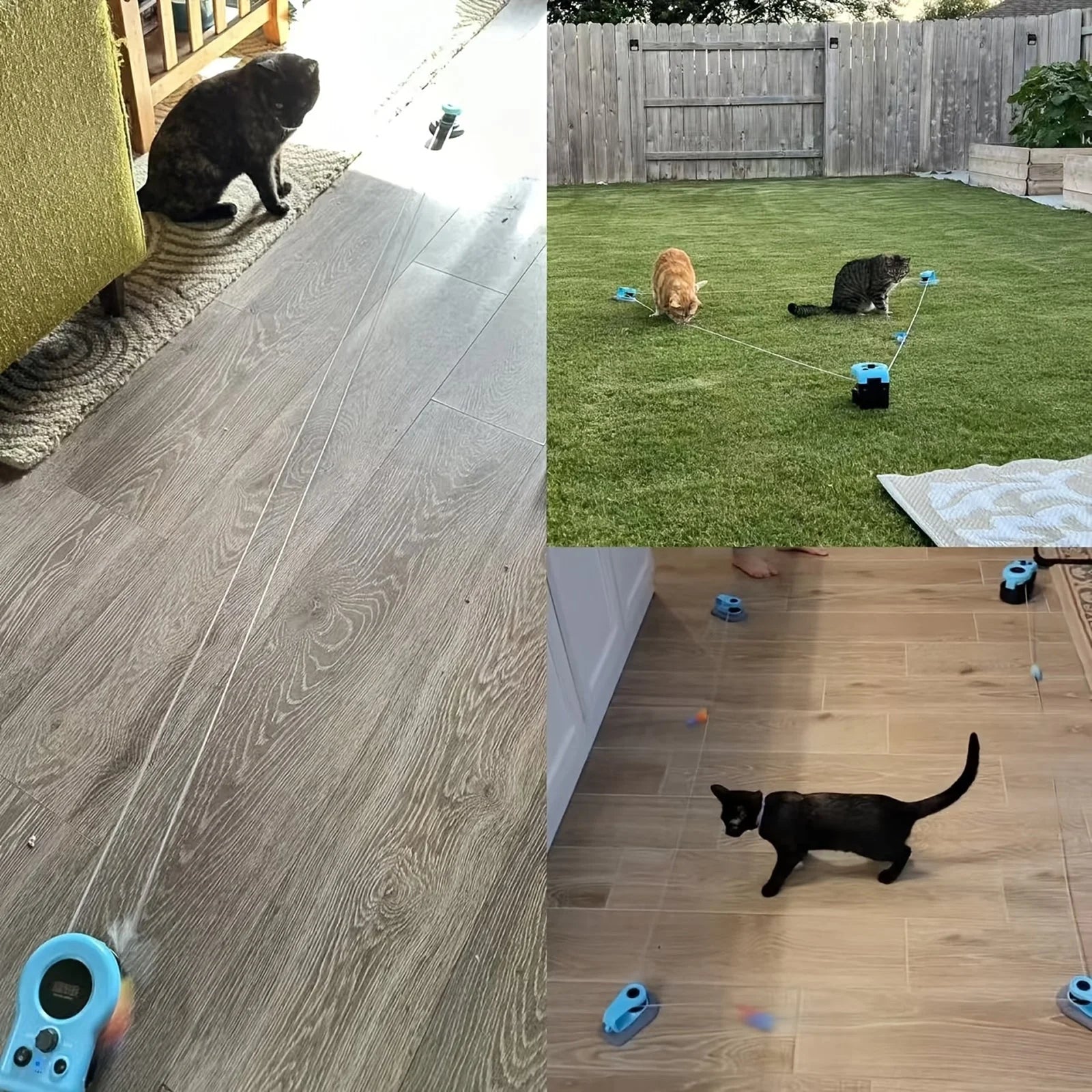 PurrChasix - Jouet Interactif Chat