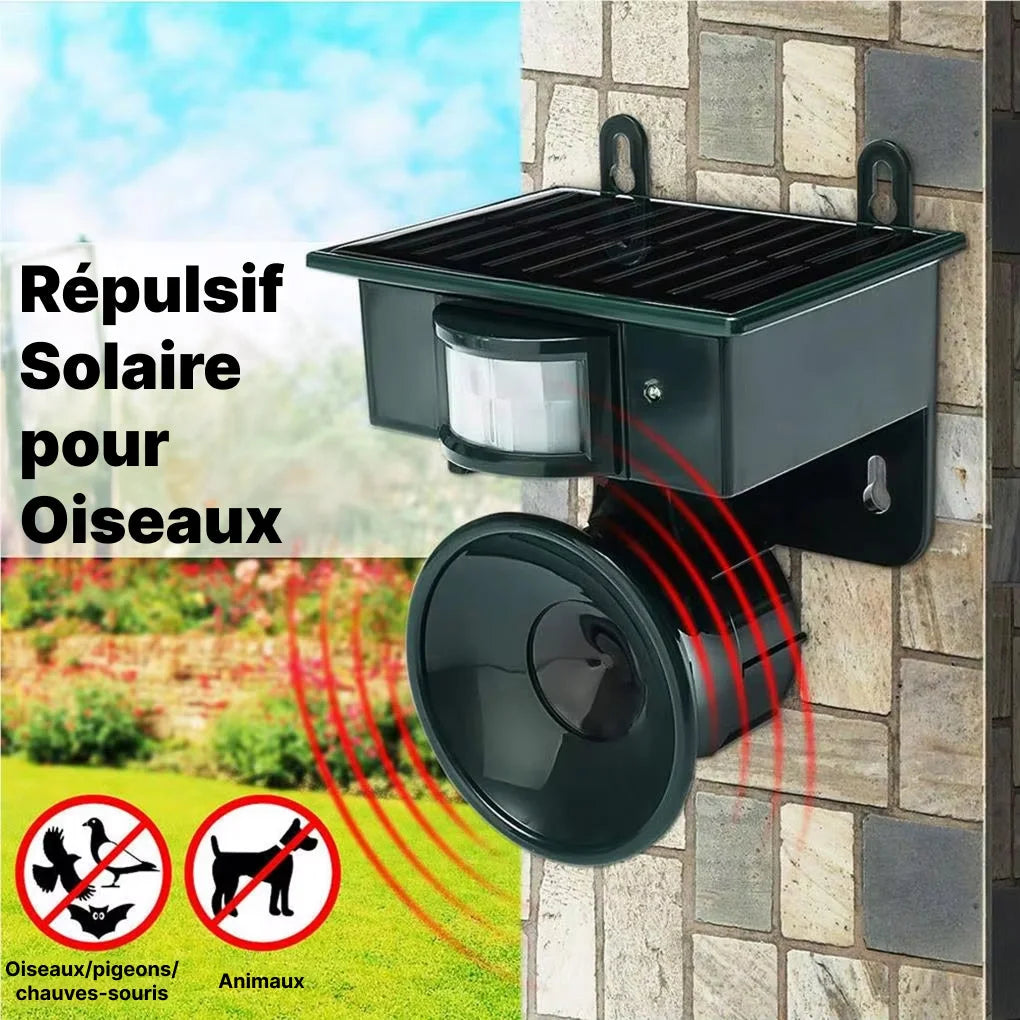 PigeoFend - Ecouteurs Filaire