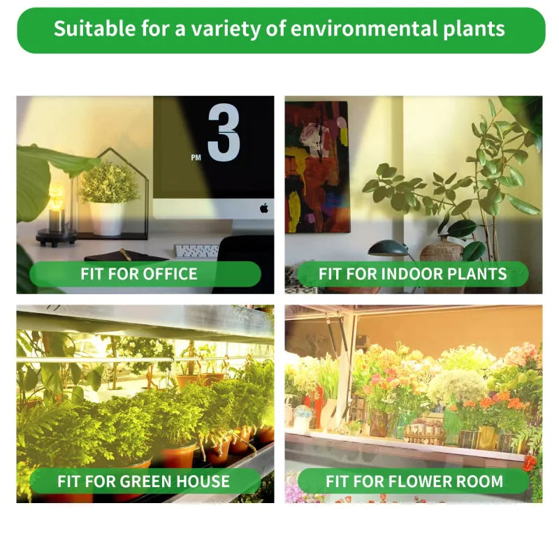 HortiShine - Lampe Horticole