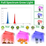 HortiShine - Lampe Horticole