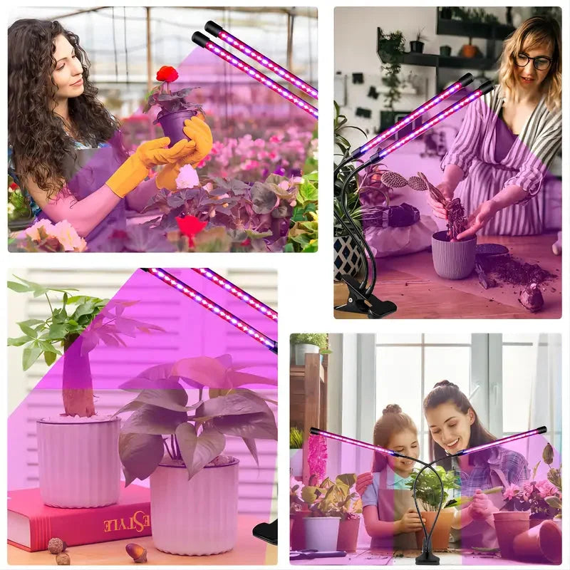 HortiShine - Lampe Horticole