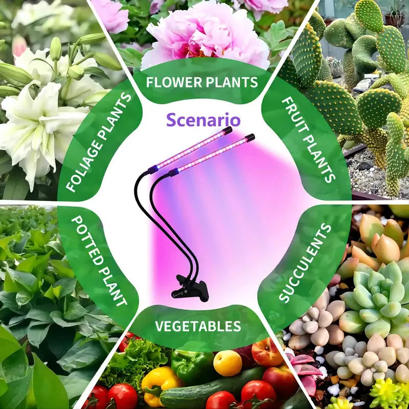 HortiShine - Lampe Horticole