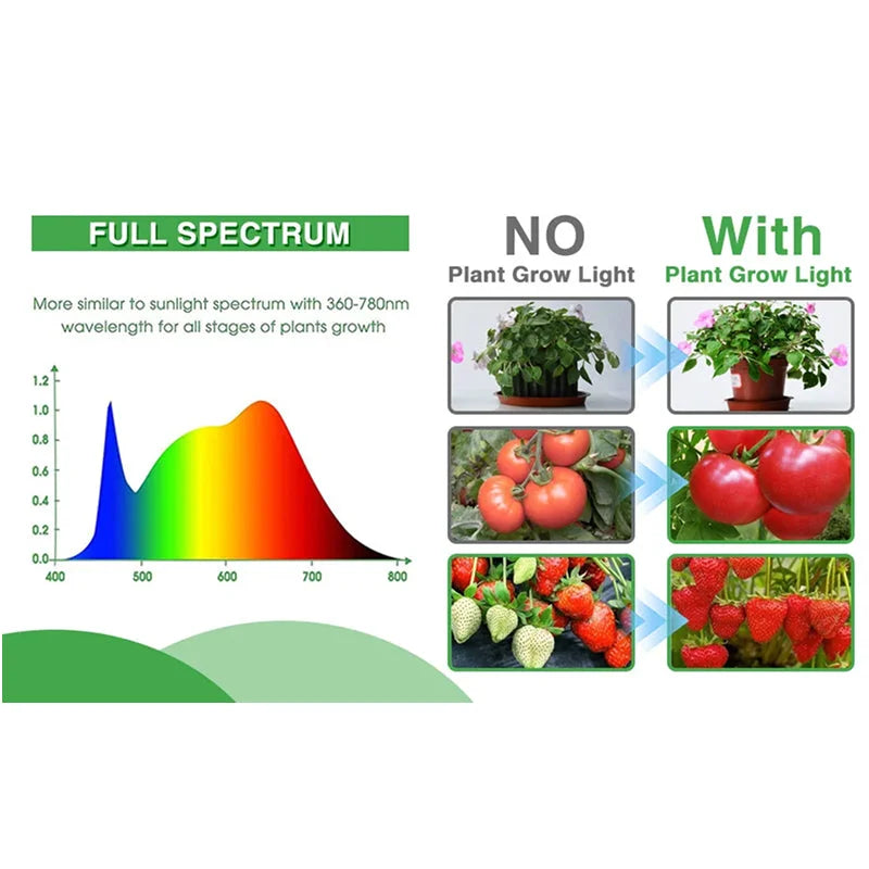SproutLux - Plateau De Semis