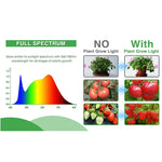 SproutLux - Plateau De Semis