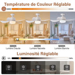 LumiCool - Ventilateur Luminaire